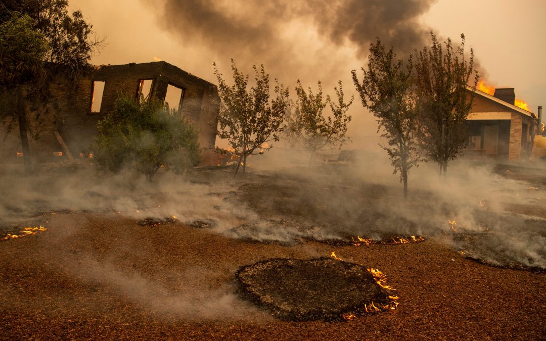 How to Help After The Sonoma Fires